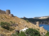 Балаклава
