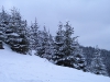 Буковель