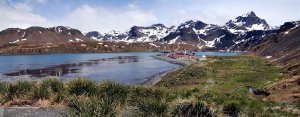 11096  300x225 grytviken 15 Грютвикен