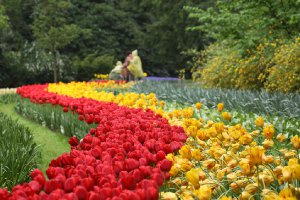 12147  300x225 park keukenhof 26 Парк Кейкенхоф