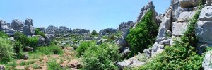 7683  300x225 nacionalnyj park el torcal de antequera 28 Национальный парк El Torcal de Antequera