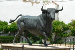7735  300x225 arena dlya boya bykov v ronde 10 Арена для боя быков в Ронде (Plaza de Toros de Ronda)