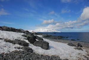 9083  300x225 south shetland islands 49 Южные Шетландские острова