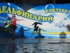 thumbs delfinarij koktebel 01 Дельфинарий Коктебель