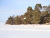 Финский залив (Липово). Снежные торосы.