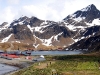 thumbs grytviken 10 Грютвикен