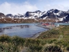 thumbs grytviken 15 Грютвикен