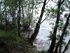 Киевское море