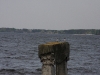 Киевское море