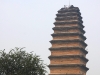 Малая пагода диких гусей