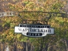 Мариинский парк