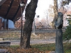 Мариинский парк