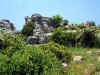 thumbs nacionalnyj park el torcal de antequera 12 Национальный парк El Torcal de Antequera