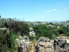 thumbs nacionalnyj park el torcal de antequera 13 Национальный парк El Torcal de Antequera