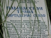 Никитский ботанический сад