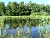 Ораниенбаум