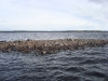 Озеро Сандал. Скалы в воде