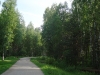 Парк Сосновка