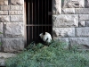 Пекинский зоопарк