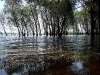 Перынский скит. Вид на озеро Ильмень