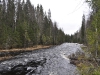 thumbs porogi na reke yanisjoki 06 Пороги на реке Янисйоки