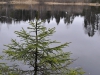 thumbs porogi na reke yanisjoki 09 Пороги на реке Янисйоки
