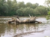 Река Десна