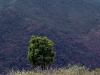 thumbs serrania de ronda 13 Горный хребет Ронда (Serrania de Ronda)