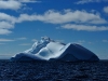 thumbs south orkney islands 10 Южные Оркнейские острова (South Orkney Islands)