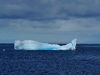 thumbs south orkney islands 18 Южные Оркнейские острова (South Orkney Islands)