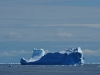 thumbs south orkney islands 20 Южные Оркнейские острова (South Orkney Islands)