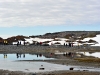 thumbs south shetland islands 01 Южные Шетландские острова