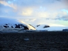 thumbs south shetland islands 07 Южные Шетландские острова