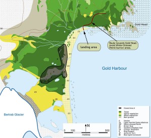 Gold harbour map 300x275 Золотая гавань