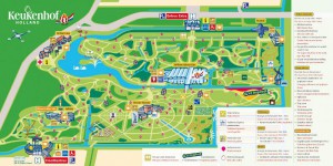 map keukenhof 300x150 Парк Кейкенхоф